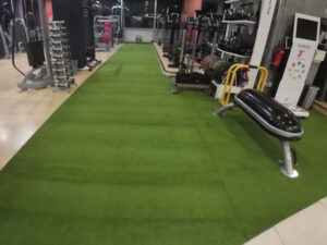 Gym Turf Site: Fitness First Paragon